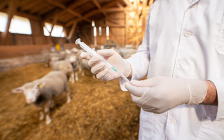Severe disease outbreak would leave Defra and APHA struggling to cope, says new report