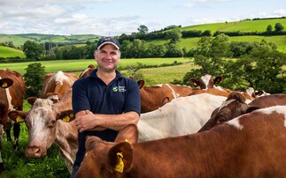 In Your Field – James Robinson: "It was the first time that Strickley Strawberry 21 had been off-farm and she paraded beautifully"