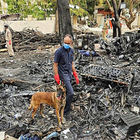 Air India Crash: DNA matching of 87 victims completed, 47 bodies handed over to kin