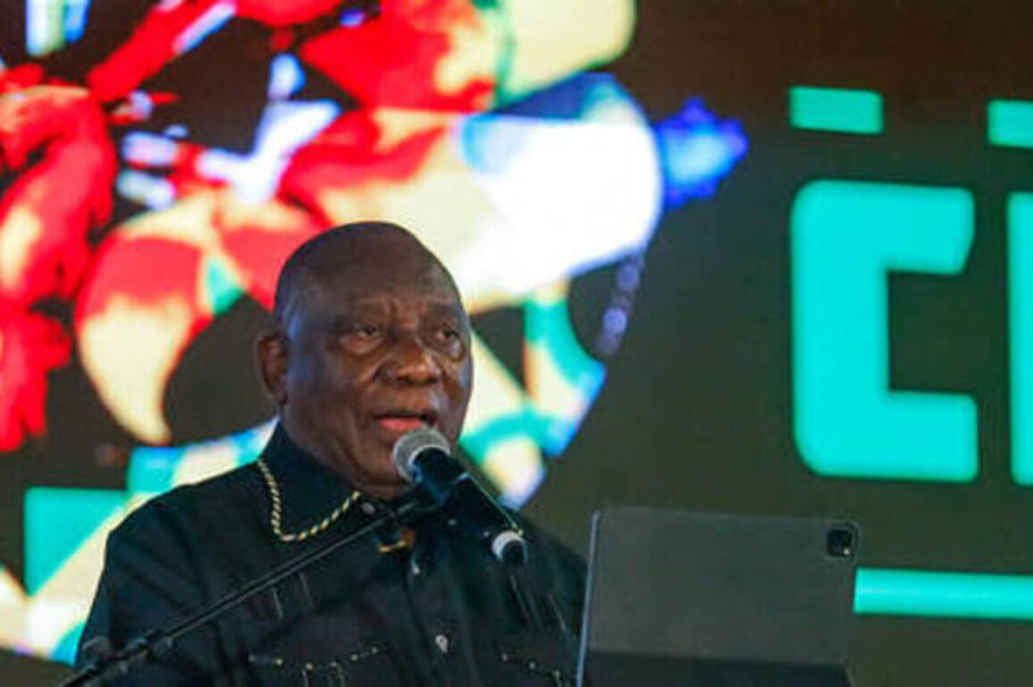 South Africa will attend G20 summit in US - official