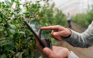 Severn Trent launches fresh round of its nature protection funding for farmers