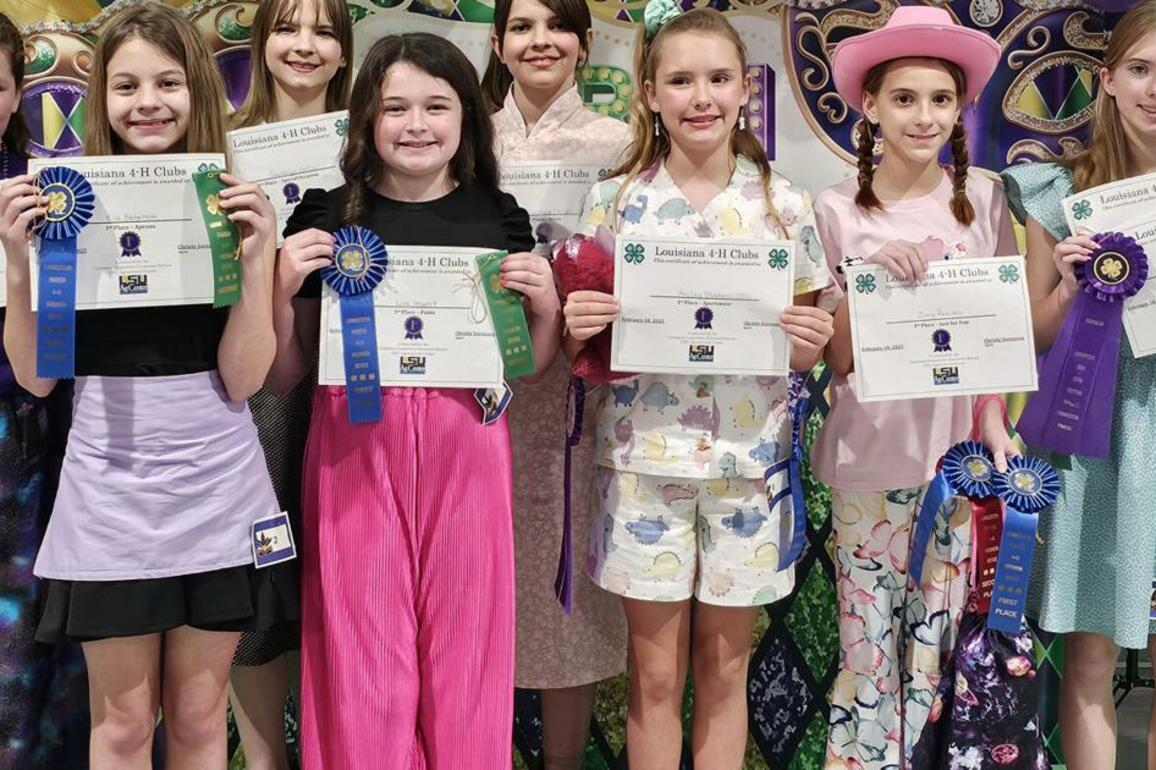 Livingston Parish 4-H Fashion Revue names winners ston-Tangipahoa
