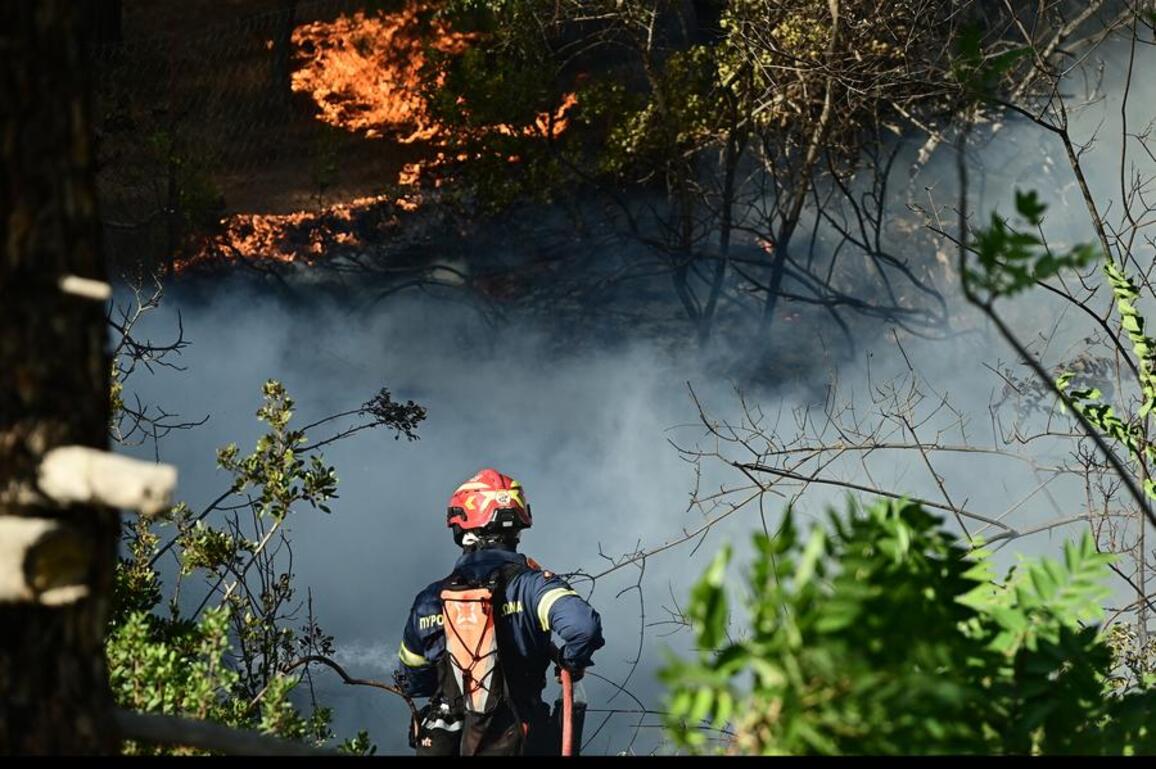 Heat, drought, negligence: drivers of Europe's 2025 wildfire crisis