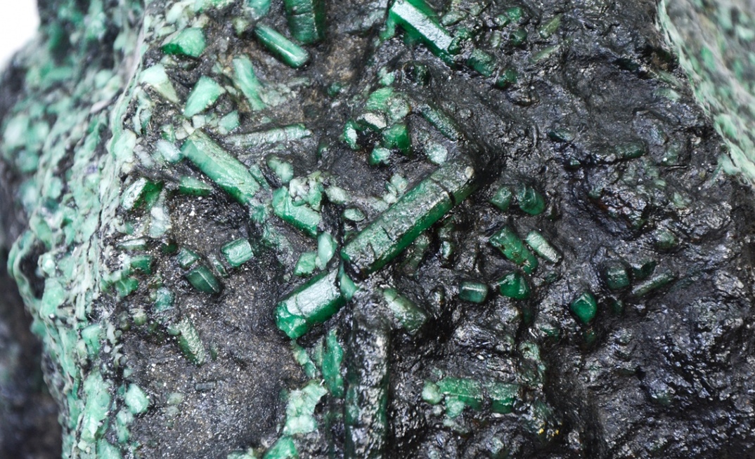 Esmeralda Pequena Notável será leiloada