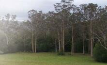 A total of 1.7 hectares of Mountain Blue Gum forest will be removed.