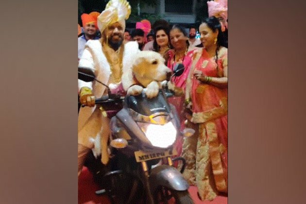 Groom melts hearts by making entrance at wedding with pet dog, check out video!