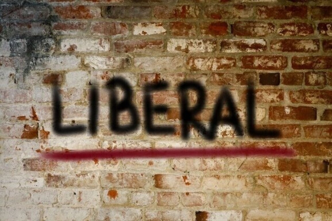 Opinion Why the Liberal Rule-Based Order Failed