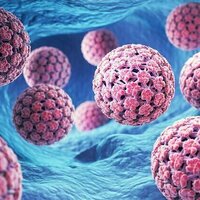 Skin cancer: is HPV also a potential cause?