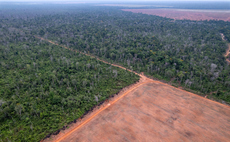 WWF warns end of Amazon Soy Moratorium could fuel 1.4 million hectares of deforestation