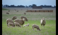  A new food alliance will aim to shore up domestic food supplies. Picture Mark Saunders.