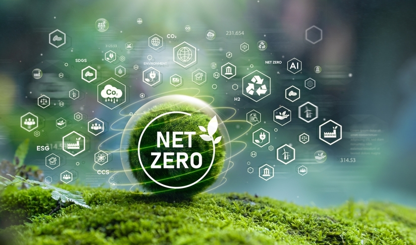 © dee karen/Shutterstock