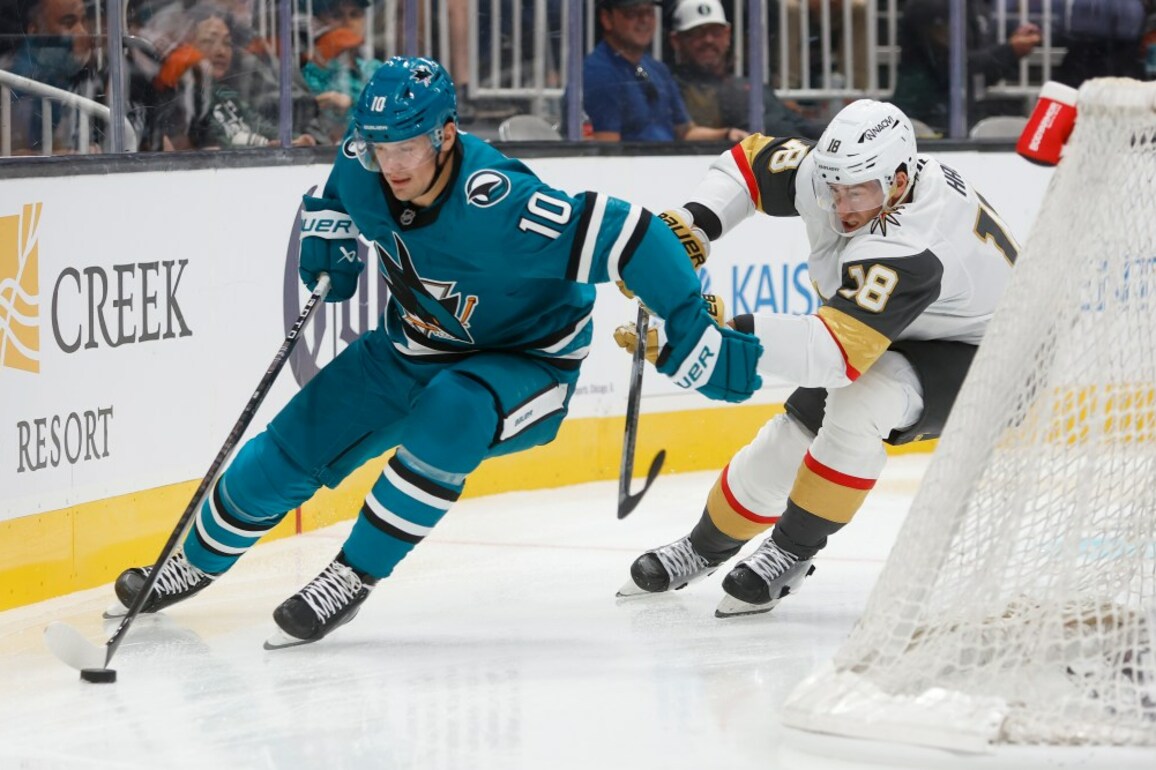 San Jose Sharks' Cameron Lund to arrive in San Jose from Northeastern