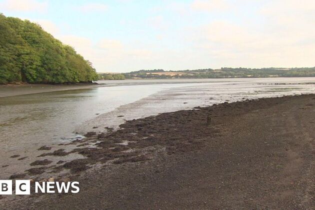Girl, 11, dies at Cornish beauty spot after incident in water