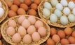 Free-range egg claims land two in hot water