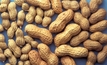 NT government investigates peanut potential