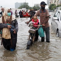 Pak: Doctors, experts urge swift action on drainage, waste removal to prevent monsoon disease outbreaks