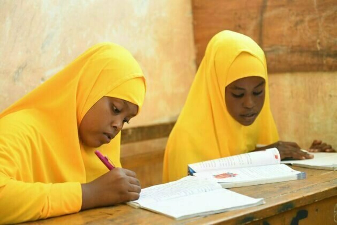 Somalia's education crisis: why so few children attend school and what could be done to change that