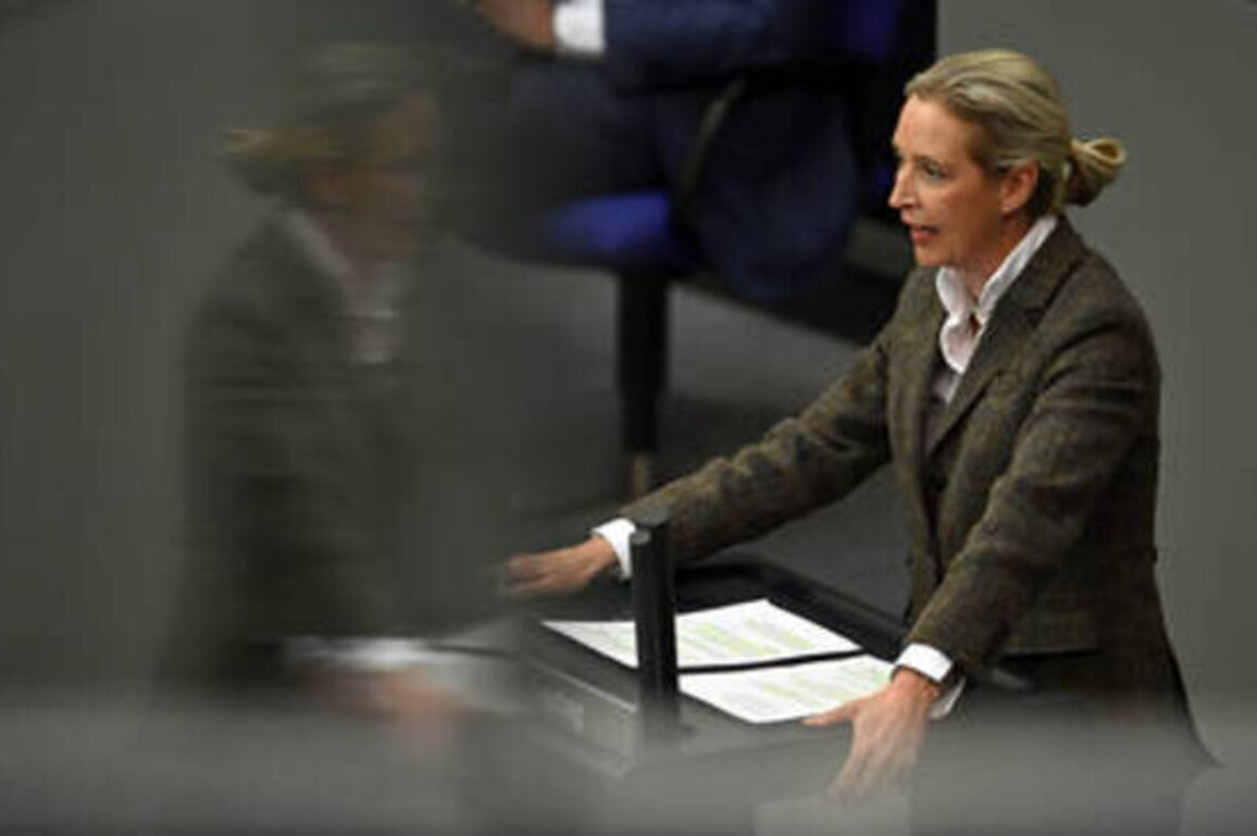 AfD co-chair calls for end to funding 'corrupt' Ukraine