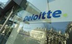 Deloitte launches programme to educate all 330,000 employees on the climate crisis