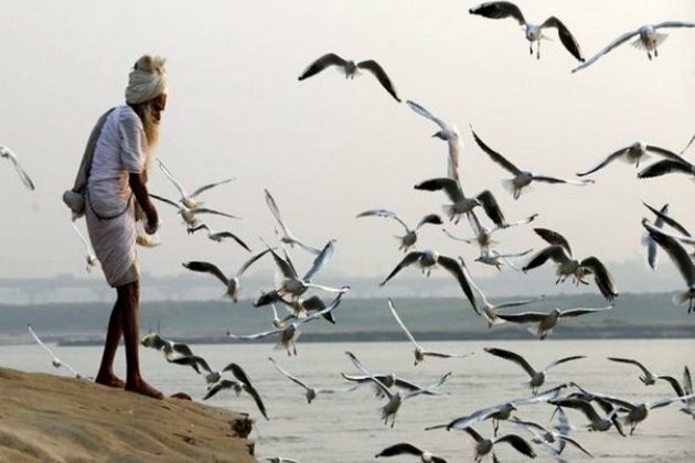 Bird flu: 983 more birds die in Maharashtra
