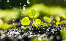 Drought resilience fund urges farmers to work together