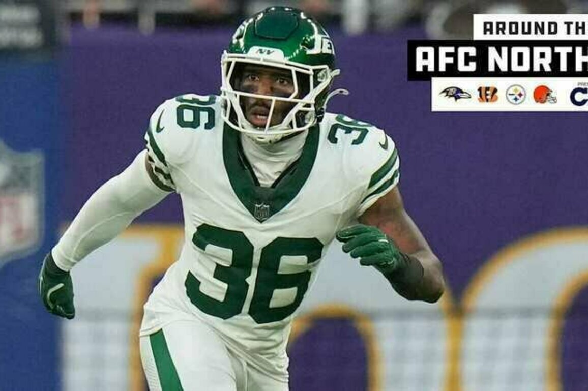Around the AFC North: Steelers Sign Another Former Ravens Defender