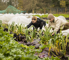 'Ripple effect': Sodexo to ditch suppliers failing to make 'tangible' climate progress by 2030