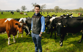 McDonald's teams up with Arla Foods for nature-led sustainability drive