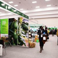 (Hello Africa) Kenyan traders target vast Chinese market to boost agricultural exports