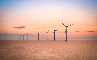 'A win-win for nature': Marine Recovery Fund promises to unlock up to £30bn in offshore wind investment