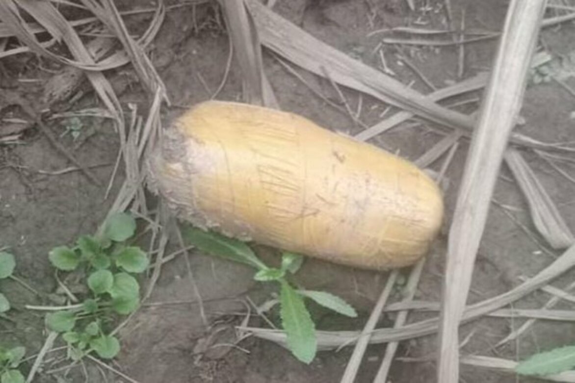 BSF, Punjab Police recover drugs from Punjab's Gurdaspur district