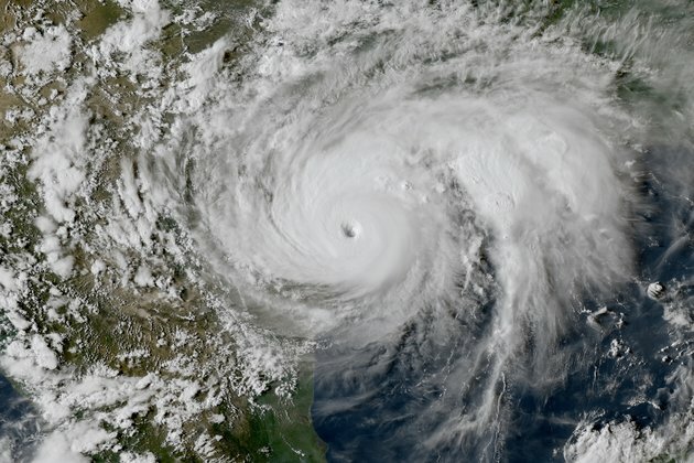 When hurricanes temporarily halt fishing, marine food webs recover quickly