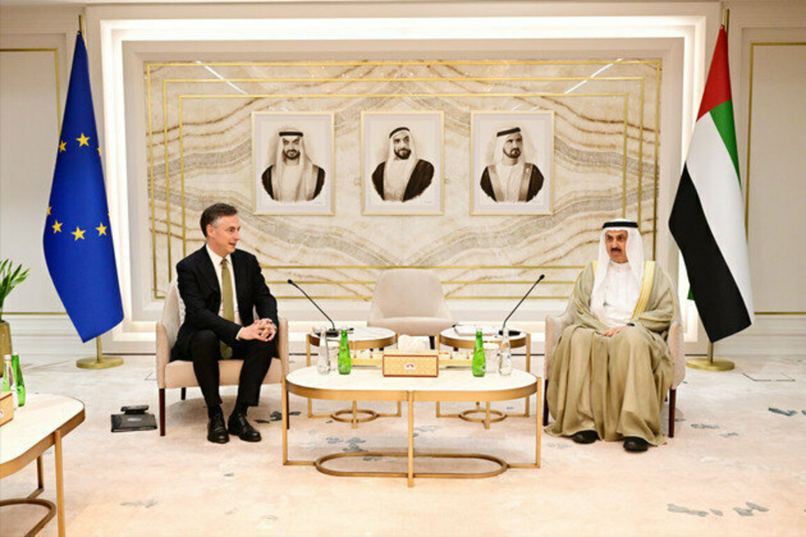 FNC Speaker, Chair of European Parliament Committee on Foreign Affairs discuss enhancing parliamentary relations