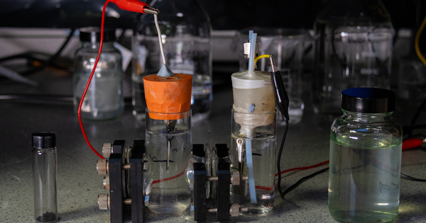 Study reveals how whisky distilleries could brew up green hydrogen - Vimarsana News