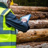 Dozens of staff who lost jobs at major timber supplier to sue for compo