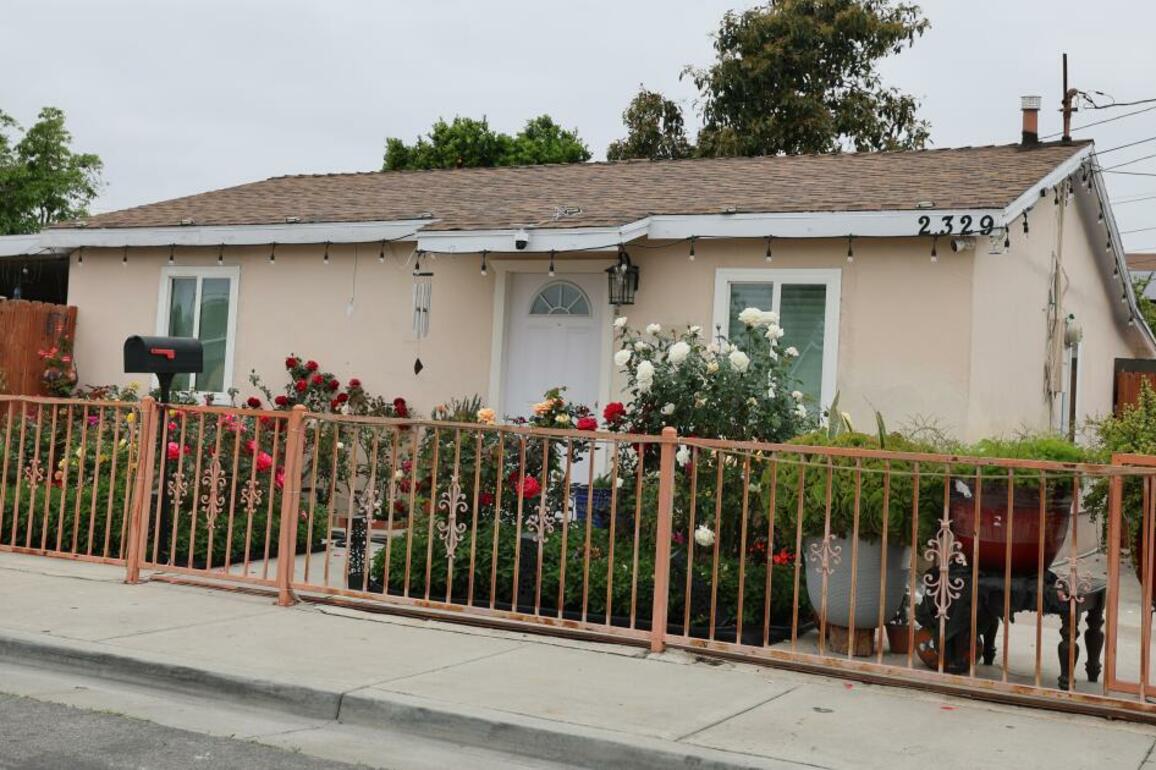 Santa Ana man accused of killing 20 cats skips arraignment