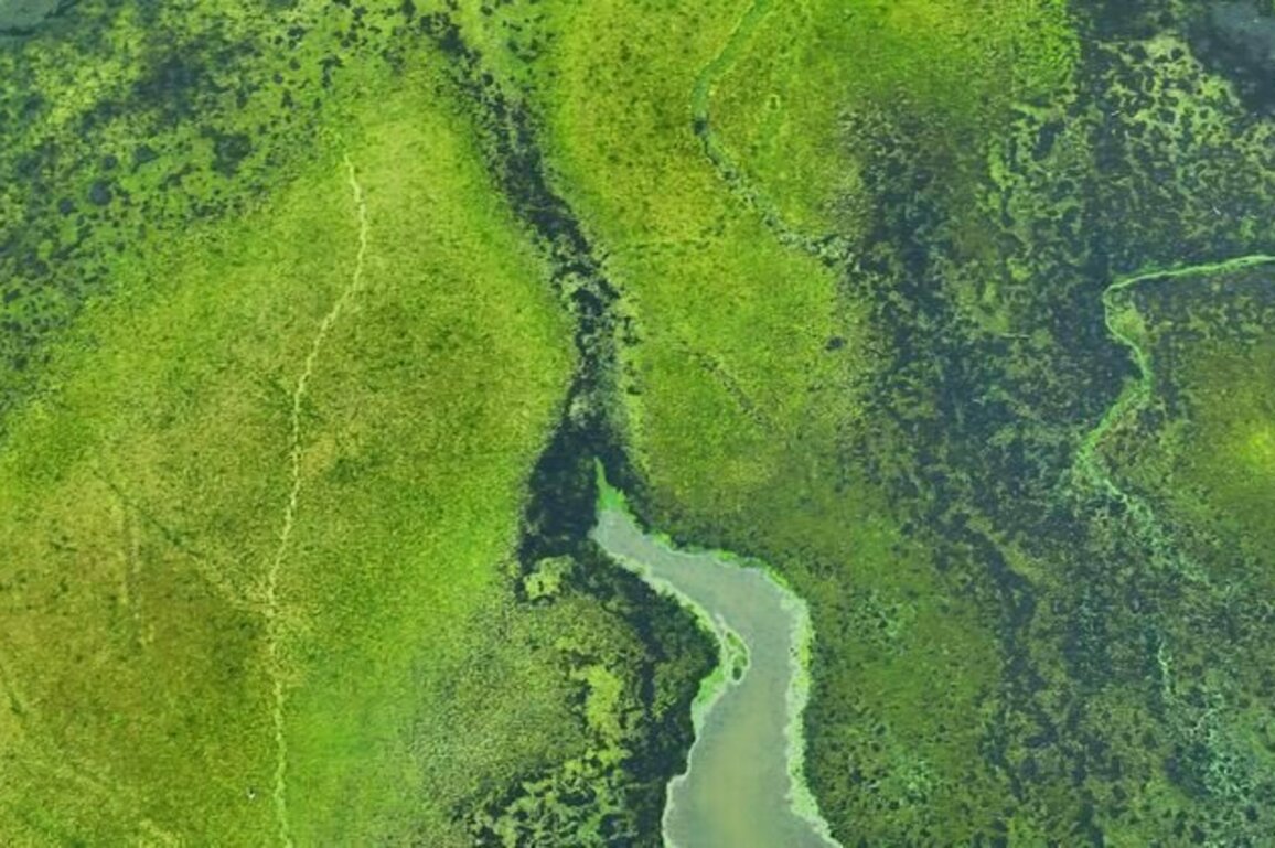 The US Environmental Protection Agency's retreat from science endangers the health of people and the planet