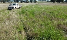 WA government to change land clearing rules