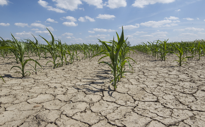 From the editor: Which parts of the country are set to receive some rain is up for debate