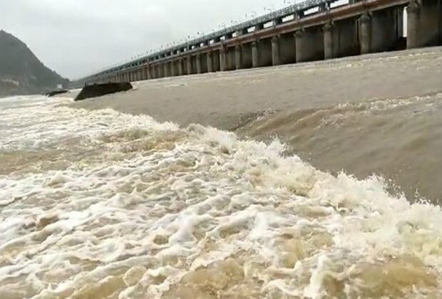 Andhra: Krishna waters released into sea