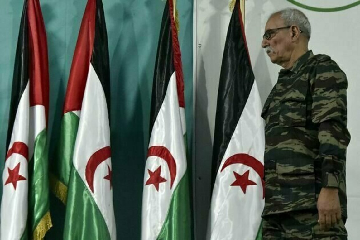 Western Sahara: why Algeria supports the Sahrawi's right to govern themselves