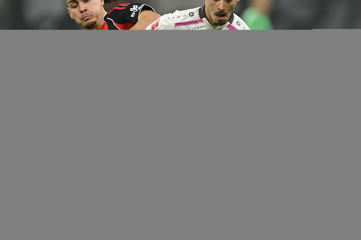 (SP)GERMANY-FRANKFURT-FOOTBALL-BUNDESLIGA-FRANKFURT VS MAINZ