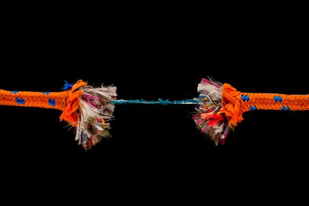 Friday essay: on the ending of a friendship