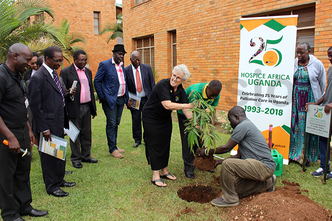 ospice frica ganda board chairperson oan elly planting a tree during the celebrations at the organisations head office in akindye hoto by eddie usisi
