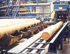Scottish sawmill back to business after blaze