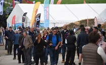 NSA Welsh Sheep Preview: Showcasing sustainability in the sheep sector  