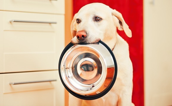 L Catterton extends pet food focus to India