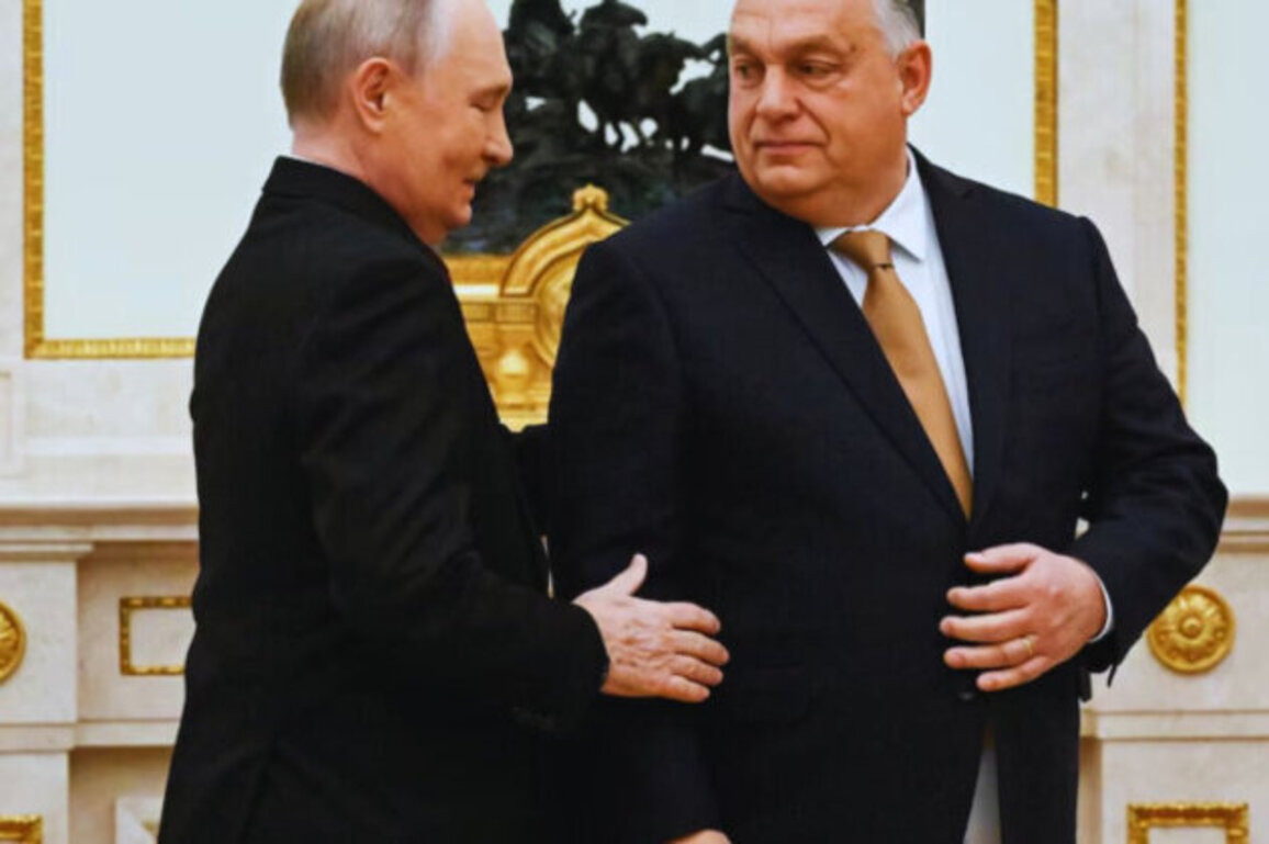 Putin Welcomes Orban in Moscow, Calls Russia-Hungary Ties Historic