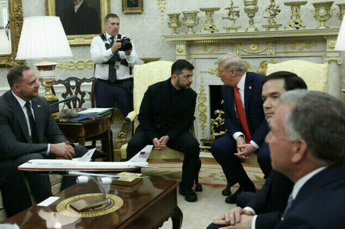 Zelensky backs meeting with Putin and Trump