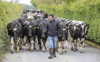 Partner Insight: Group monitoring takes guesswork out o herd management 